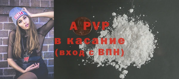 ПСИЛОЦИБИНОВЫЕ ГРИБЫ Козловка