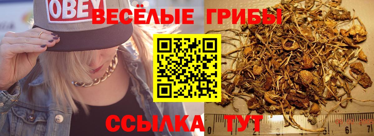 Псилоцибиновые грибы прущие грибы Углич