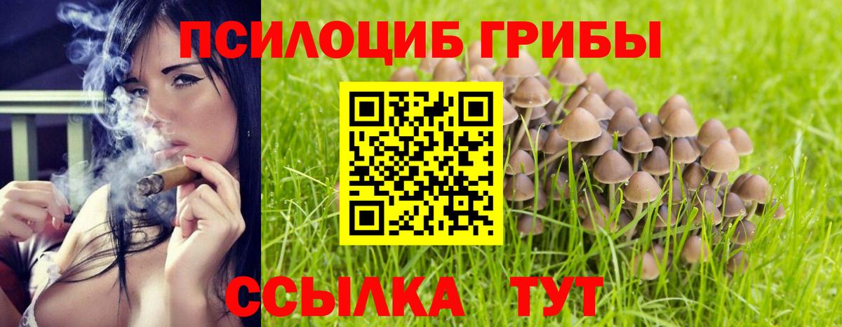 Углич  Псилоцибиновые грибы MAGIC MUSHROOMS  где можно купить наркотик  Псилоцибиновые грибы мицелий  Вход с VPN 
